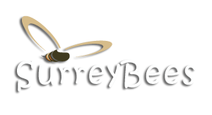 Surrey Bees
