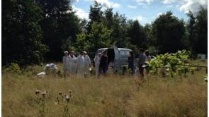 Bee Open Day
