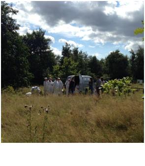 Bee Open Day