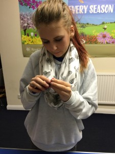 IMG_0376