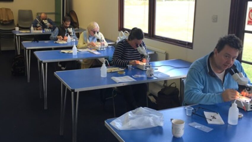 Microscopy Workshops Get Underway