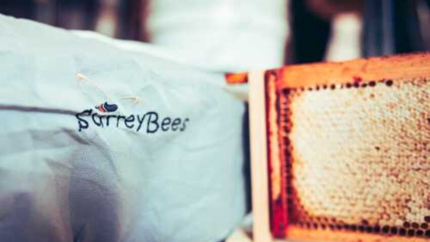 BUMPER YEAR FOR OUR BEE MANAGED SERVICES