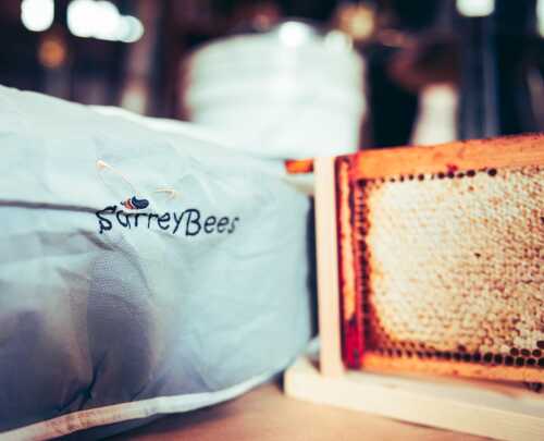 BUMPER YEAR FOR OUR BEE MANAGED SERVICES